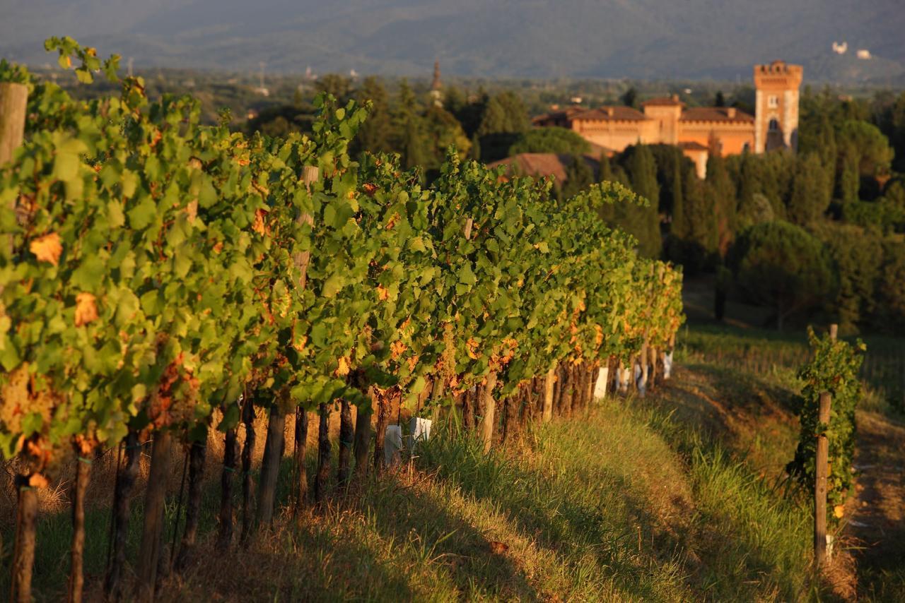 Appartamenti Nelle Vigne Capriva del Friuli Exterior foto